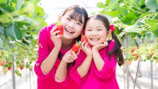 長野県イチゴ狩り